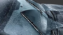 15 بہترین نان فریز