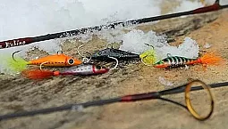 শীতের জন্য 15টি সেরা ব্যালেন্সার