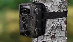 10 melhores armadilhas fotográficas