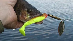 15টি সেরা ভাইব্রোটেল