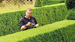 15 labākie krūmgrieži