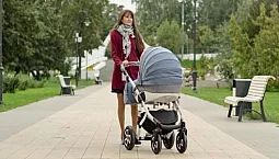 5 עגלות Adamex המובילות