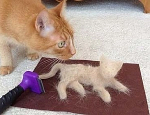 10 migliori furminatori per cani e gatti