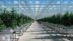 Les 10 meilleurs systèmes d'irrigation goutte à goutte d'AliExpress