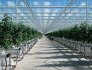 10 Best Drip Irrigation Systems from AliExpress