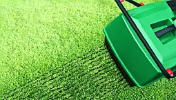 Cele mai bune 10 aeratoare și scarificatoare de gazon