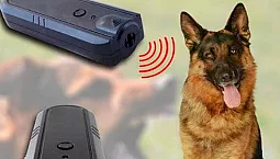 Los 10 mejores ahuyentadores de perros