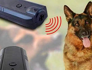 I 10 migliori repellenti per cani