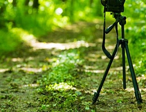 10 najlepších profesionálnych statívov z Aliexpressu