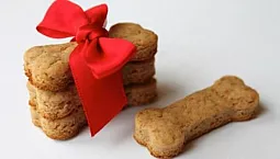 5 parasta koiranherkkua