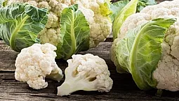 10 זני הכרובית המובילים