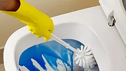 أفضل 15 منظفات تواليت