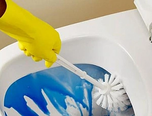 15 migliori detergenti per WC