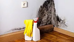 10 parasta lääkettä seinien homeeseen