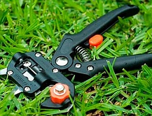 10 best grafting pruners from Aliexpress