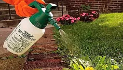 10 mejores herbicidas