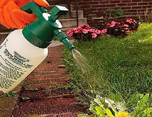 10種最佳除草劑