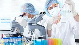 5 parimat analüüsilaborit Peterburis