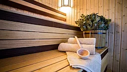 سینٹ پیٹرزبرگ میں 10 بہترین سونا