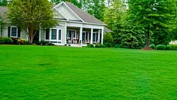 15 geriausių vejos žolės augintojų