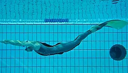 Yüzme ve zıpkınla balık avı için en iyi 10 yüzgeç