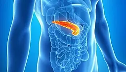 10 bästa matsmältningsenzymer på iHerb