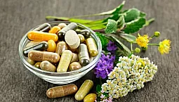 أعلى 10 فيتويستروغنز