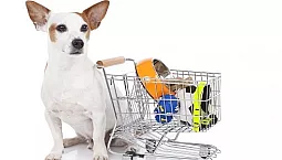 5 kedai haiwan peliharaan terbaik di St. Petersburg