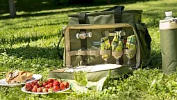 10 meilleurs ensembles de pique-nique