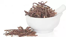 10 melhores suplementos de garra de gato no iHerb