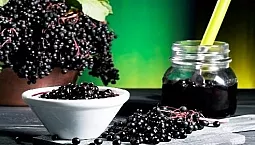 10 cele mai bune suplimente de fructe de soc de la iHerb