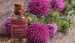 10 meilleures préparations de silymarine avec iHerb