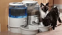 10 parimat automaatset söötjat kassidele ja koertele