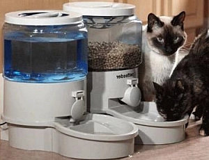 Le 10 migliori mangiatoie automatiche per cani e gatti