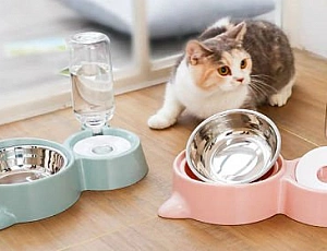 10 migliori abbeveratoi automatici per cani e gatti da AliExpress