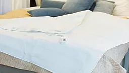 10个最好的电子床单