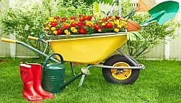 10 mejores carretillas de jardín y construcción