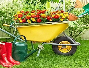 10 best garden and construction wheelbarrows