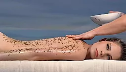 10 meilleurs gommages corporels