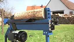 5 מבצלי העצים הטובים ביותר