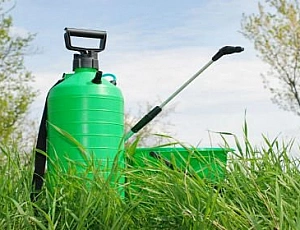 15 Best Garden Sprayers