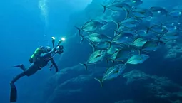 10 đèn dưới nước tốt nhất