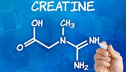 Top 10 συμπληρώματα κρεατίνης