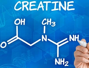 Los 10 mejores suplementos de creatina