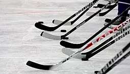 15 cele mai bune bețe de hochei