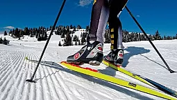 Top 10 online lyžařských obchodů