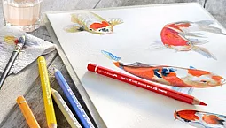 15 cele mai bune seturi de creioane acuarela