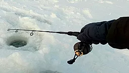 10 bästa vinterrullarna