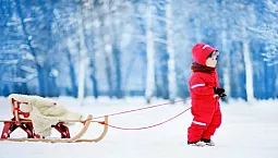 10 mejores trineos para niños