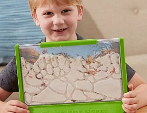 Top 10 mravenčích farem